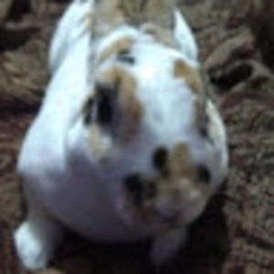 Meet your Posher, Kara